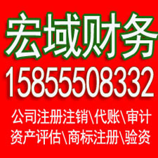 鸠江安徽营业执照注册代理 注册公司代理 代理记账